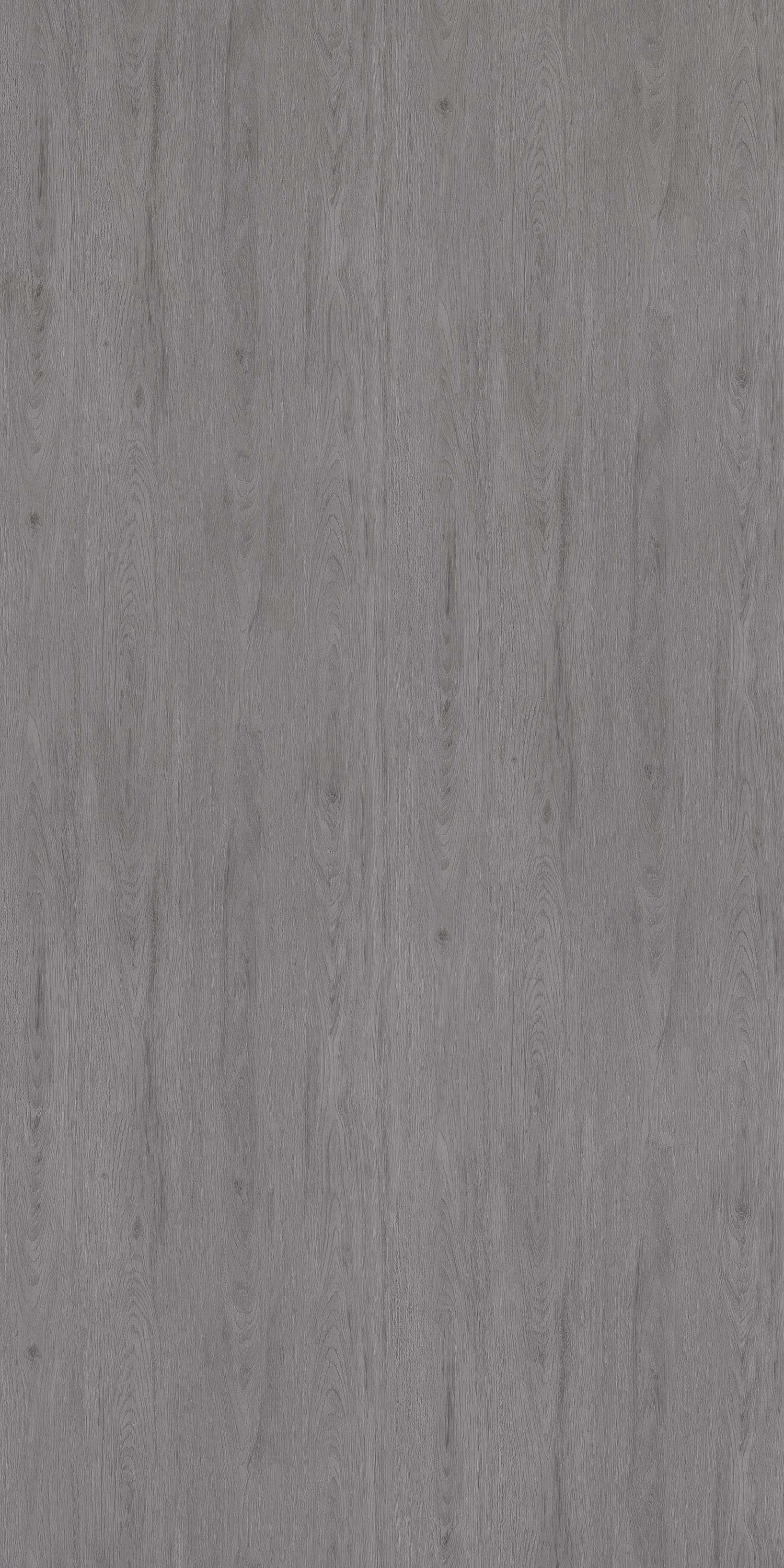 CHIKHALI OAK